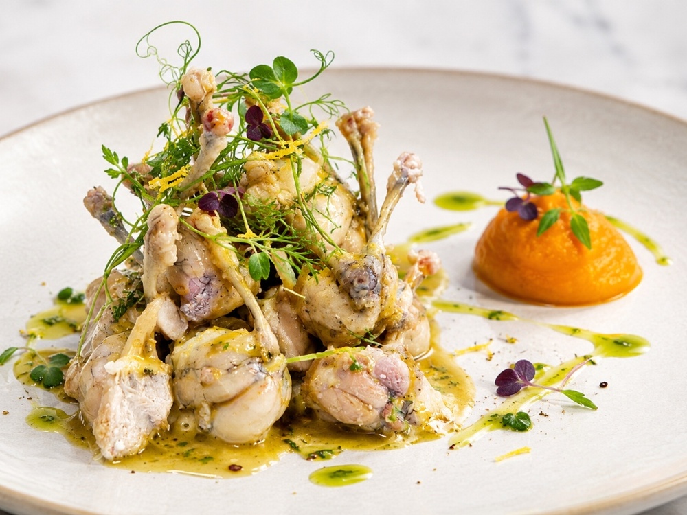 Alta Cocina y Versatilidad Gourmet